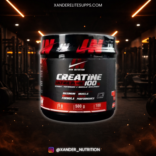 IRON NUTRITION 100 SERV